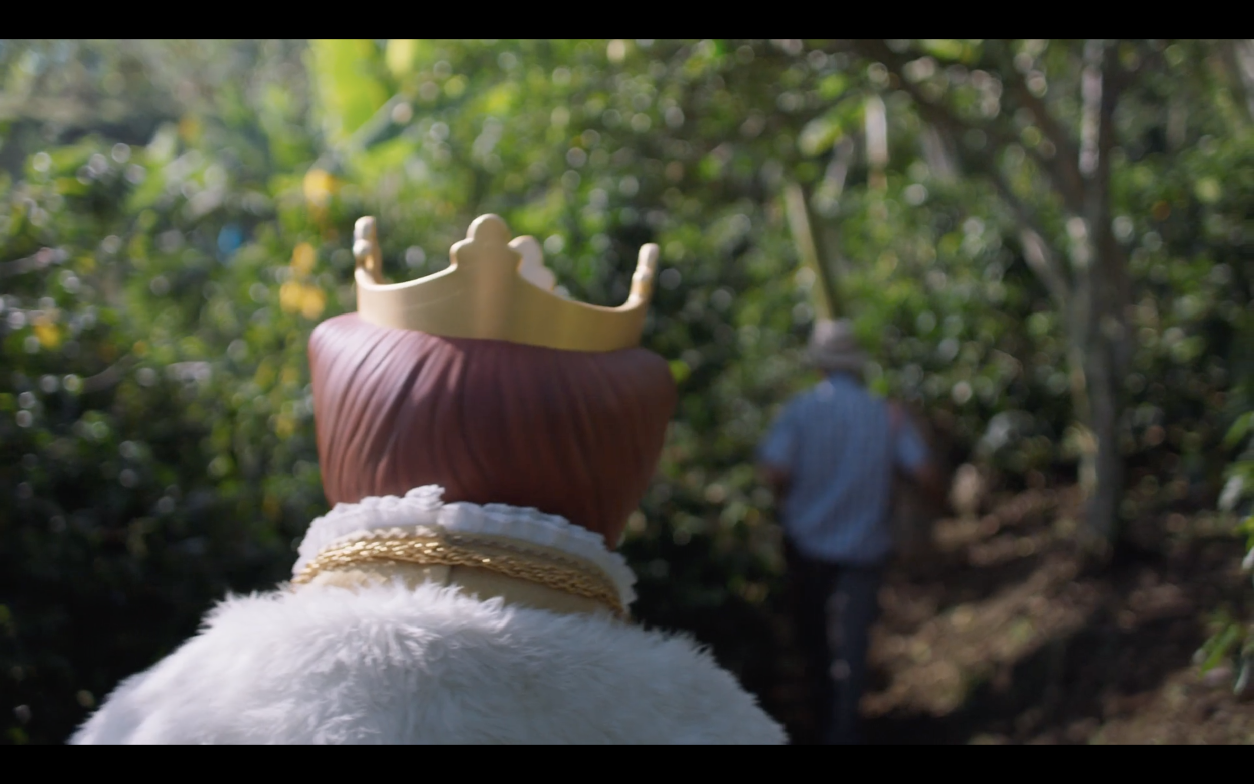 Screen Shot 2019-12-10 at 12.16.00 PM.png