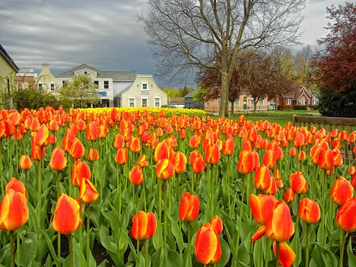 SRS has a new mailing address!