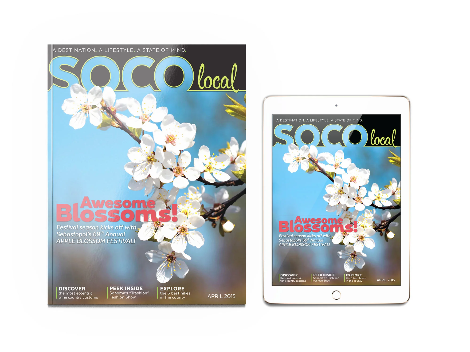 Henderson_SOCOlocal_magazine_cover_with_iPad.jpg