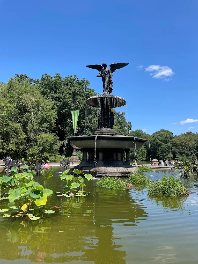 Central Park Concert (Time TBD)