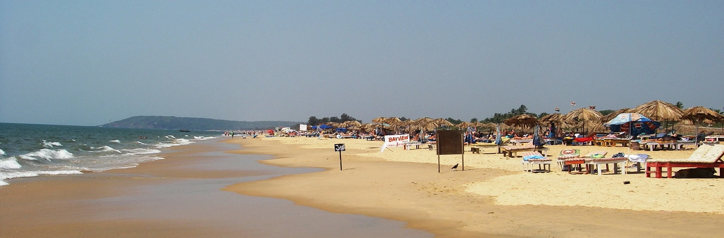 Candolim