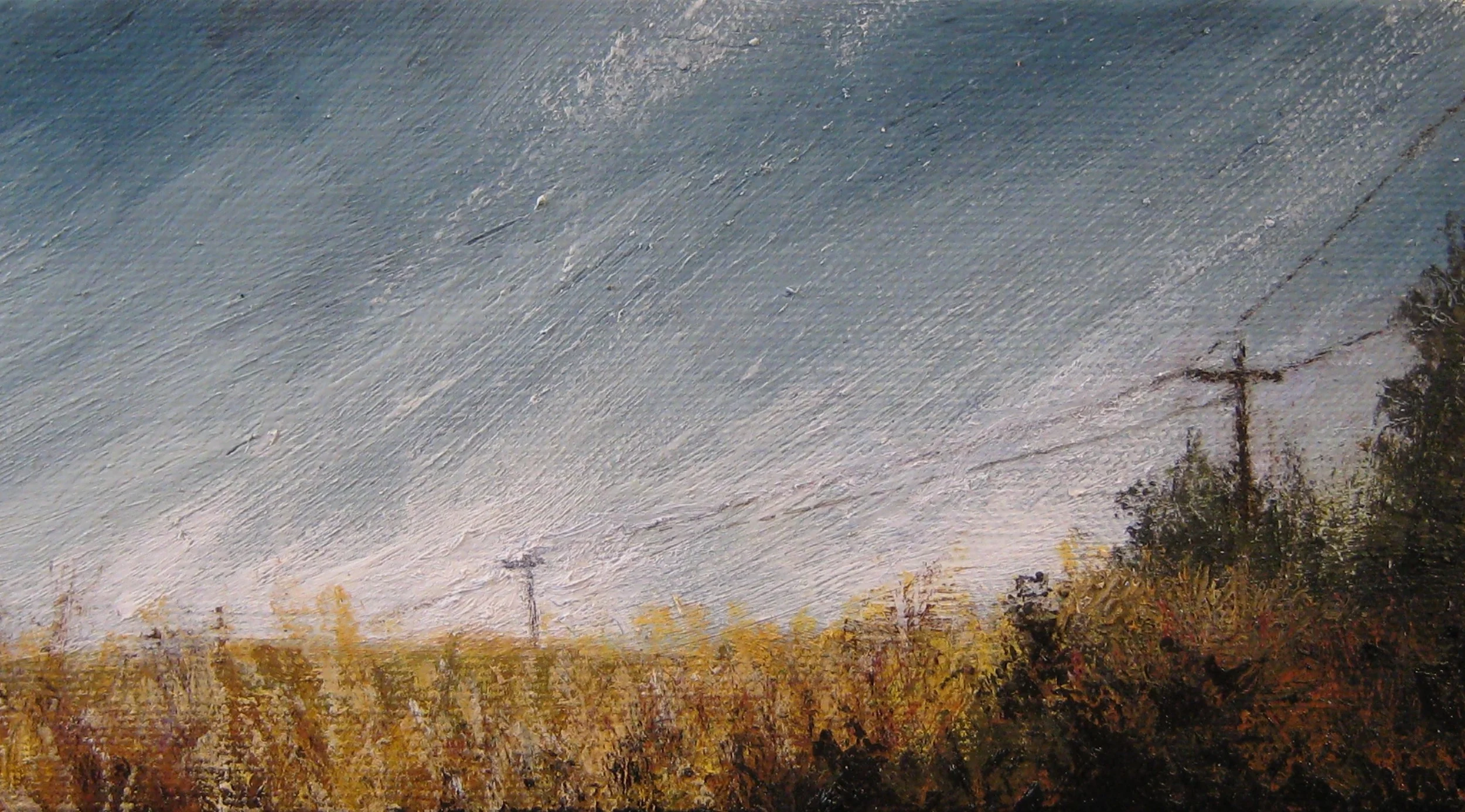 Detail, Untitled (Palouse)