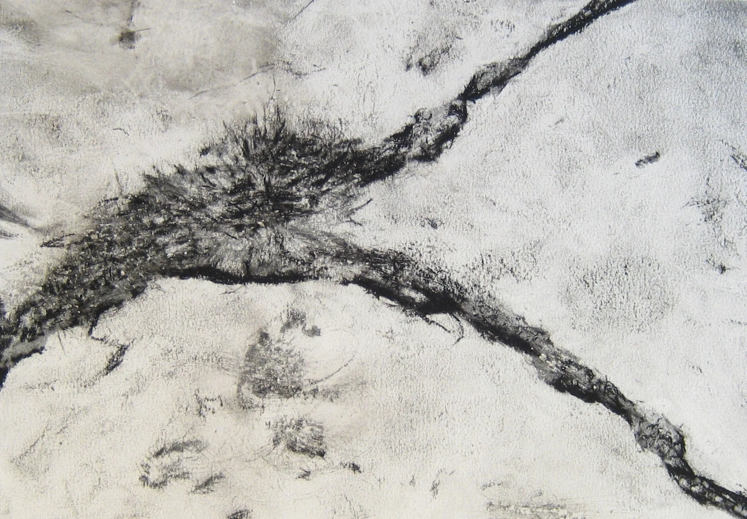 Untitled, conte on paper, 11" x 15", 2016