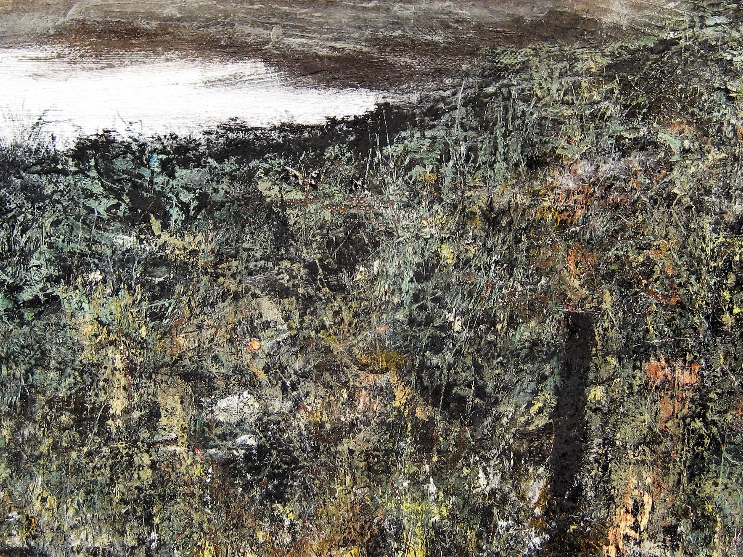 Detail, "Hunting Snakes, Sprague, WA, 1983"