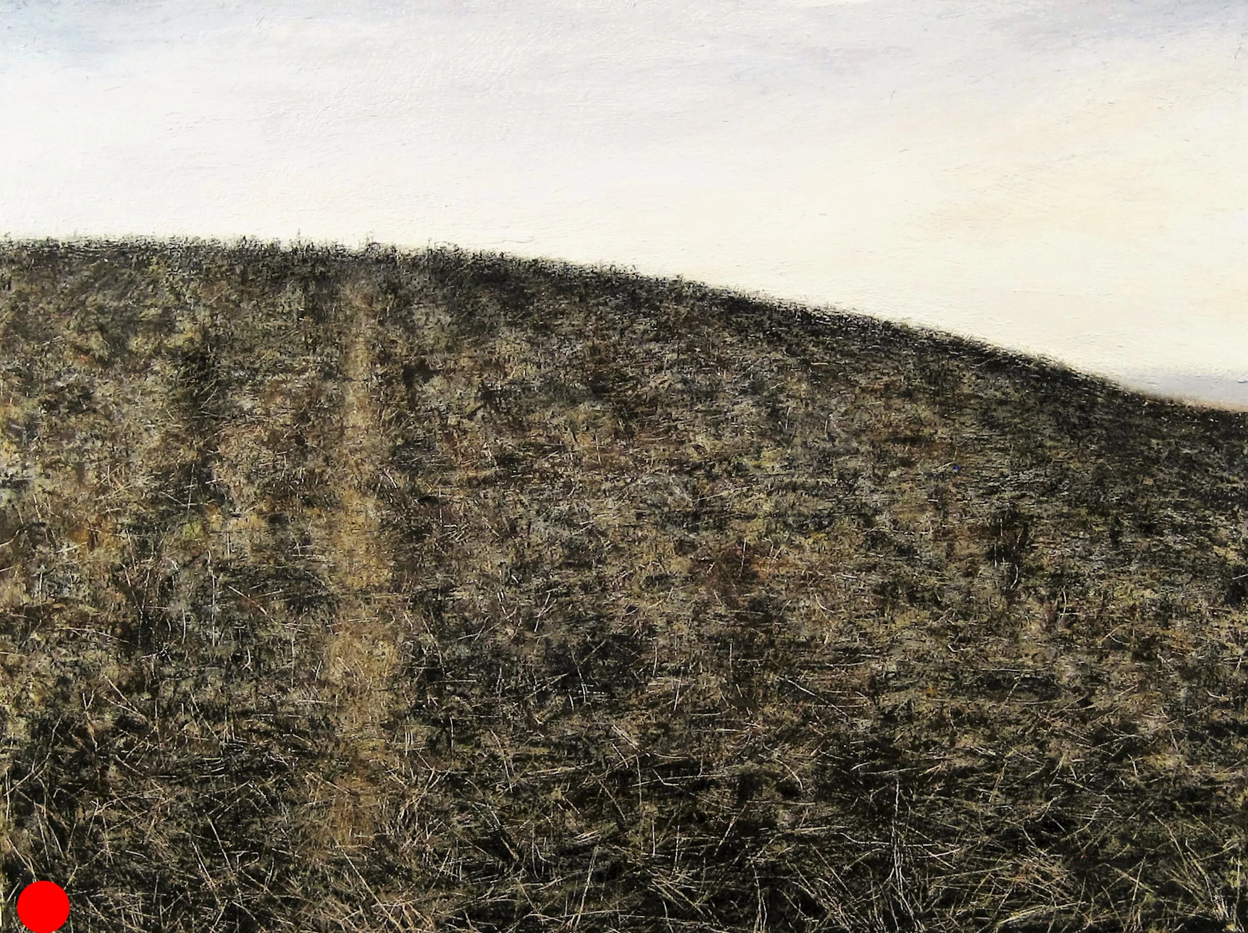"Hill", 24" x 32", oil and charcoal on canvas, 2016
