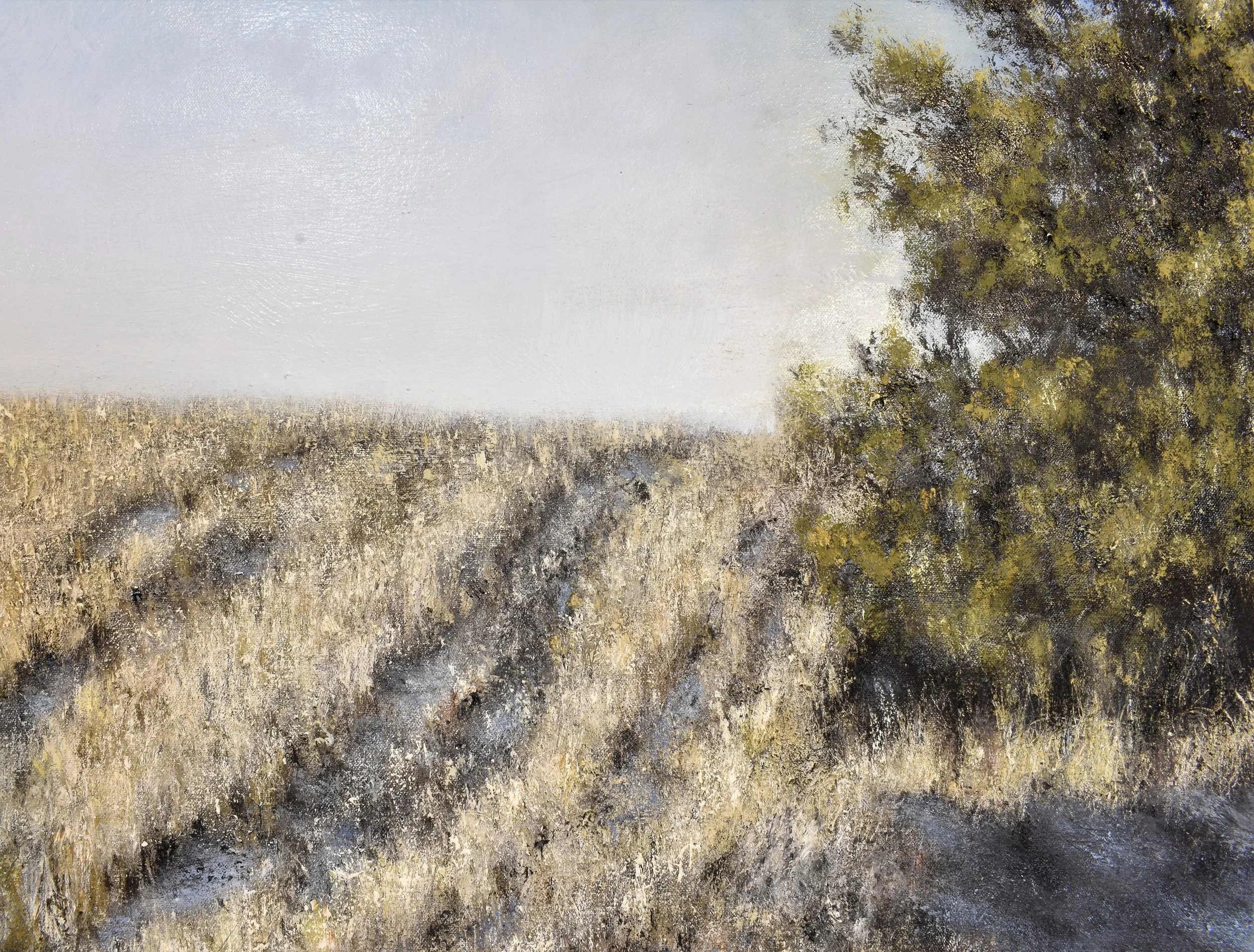 Detail, "Granite Lake Road"