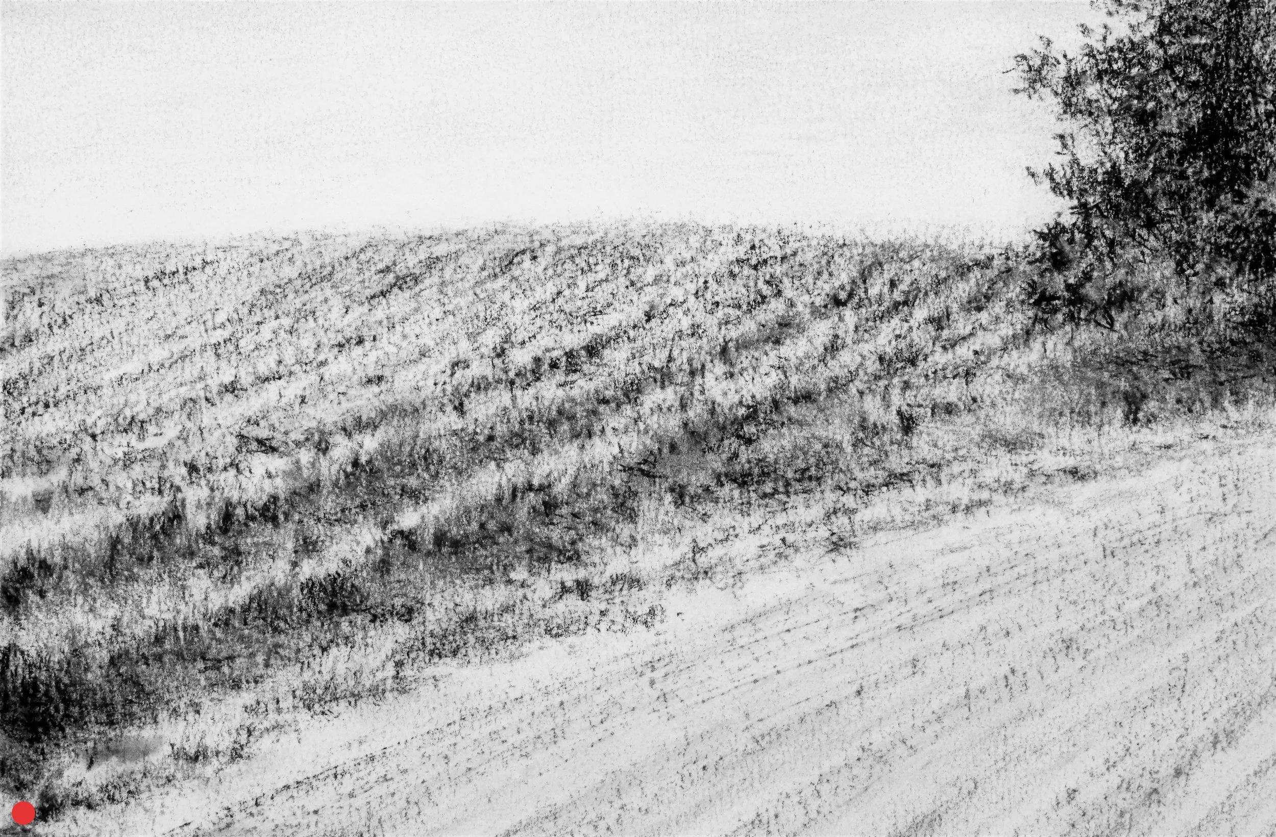 Study, Granite Lake Road, conte on paper, 8" x 12", 2018