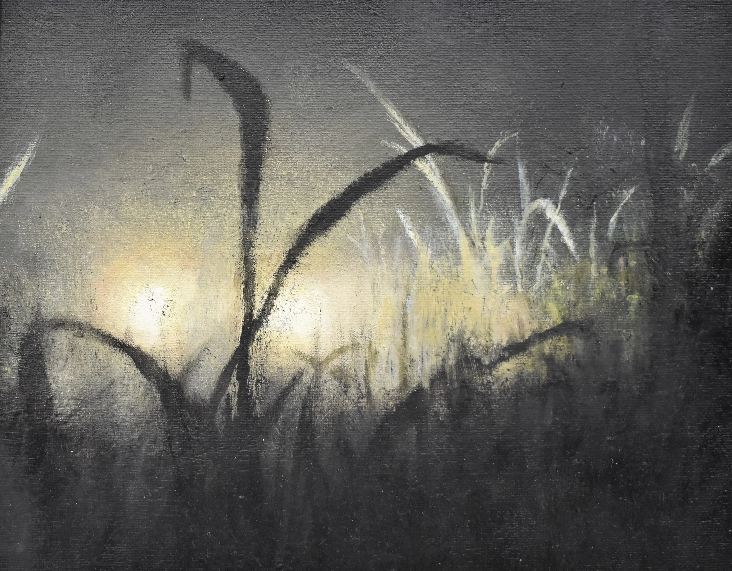 Selected Works by Owen McAuley and Rory McAuley