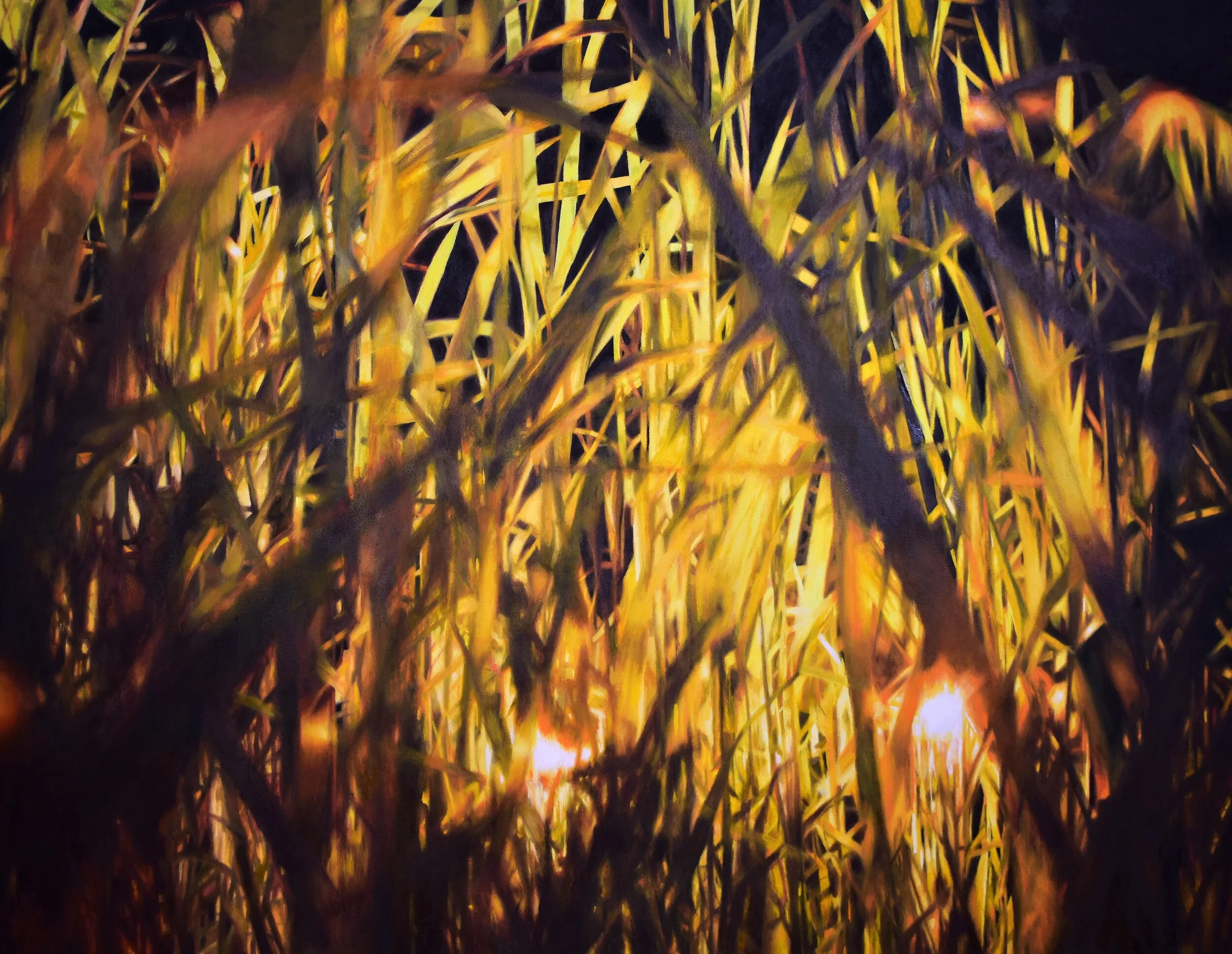 "Annapurna", 48" x 62", oil on canvas, 2019