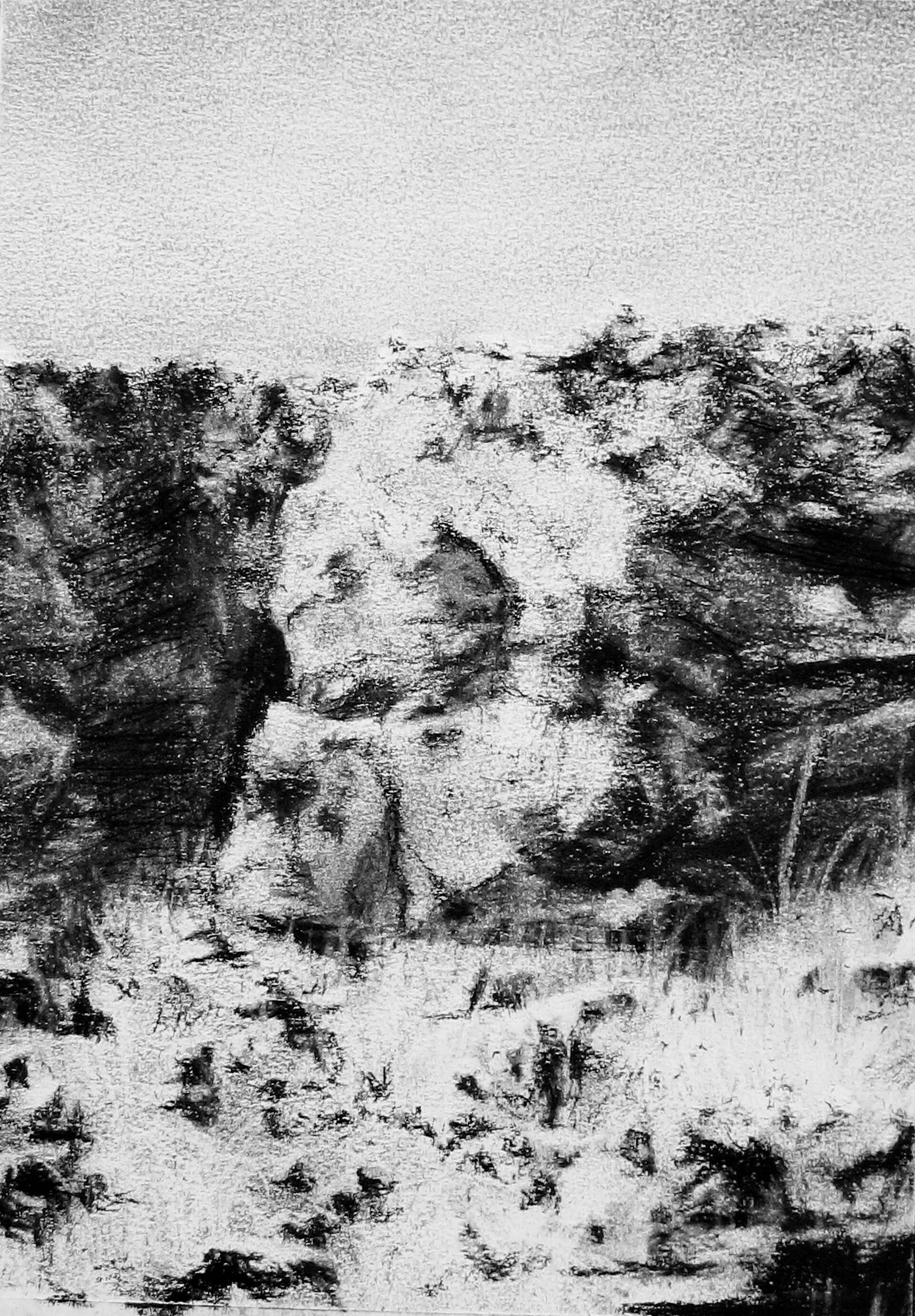 Untitled (Amber Lake I), conte on paper, 12" x 9", 2016