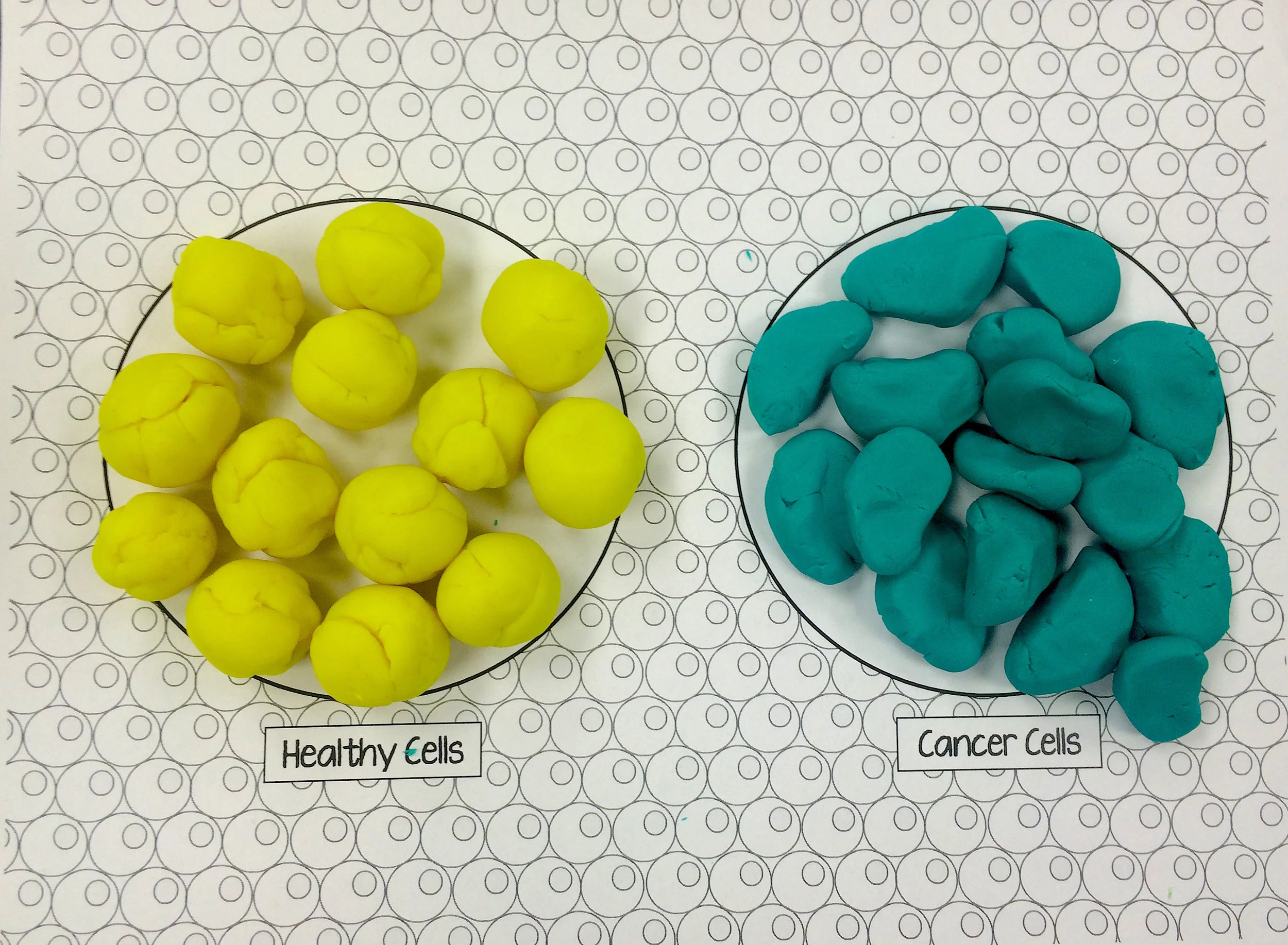 Model both healthy and cancerous cell division using Play-Doh