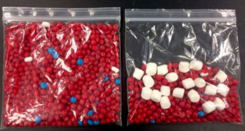 Compare a healthy patient's blood to a leukemia patient's blood using these candy models.