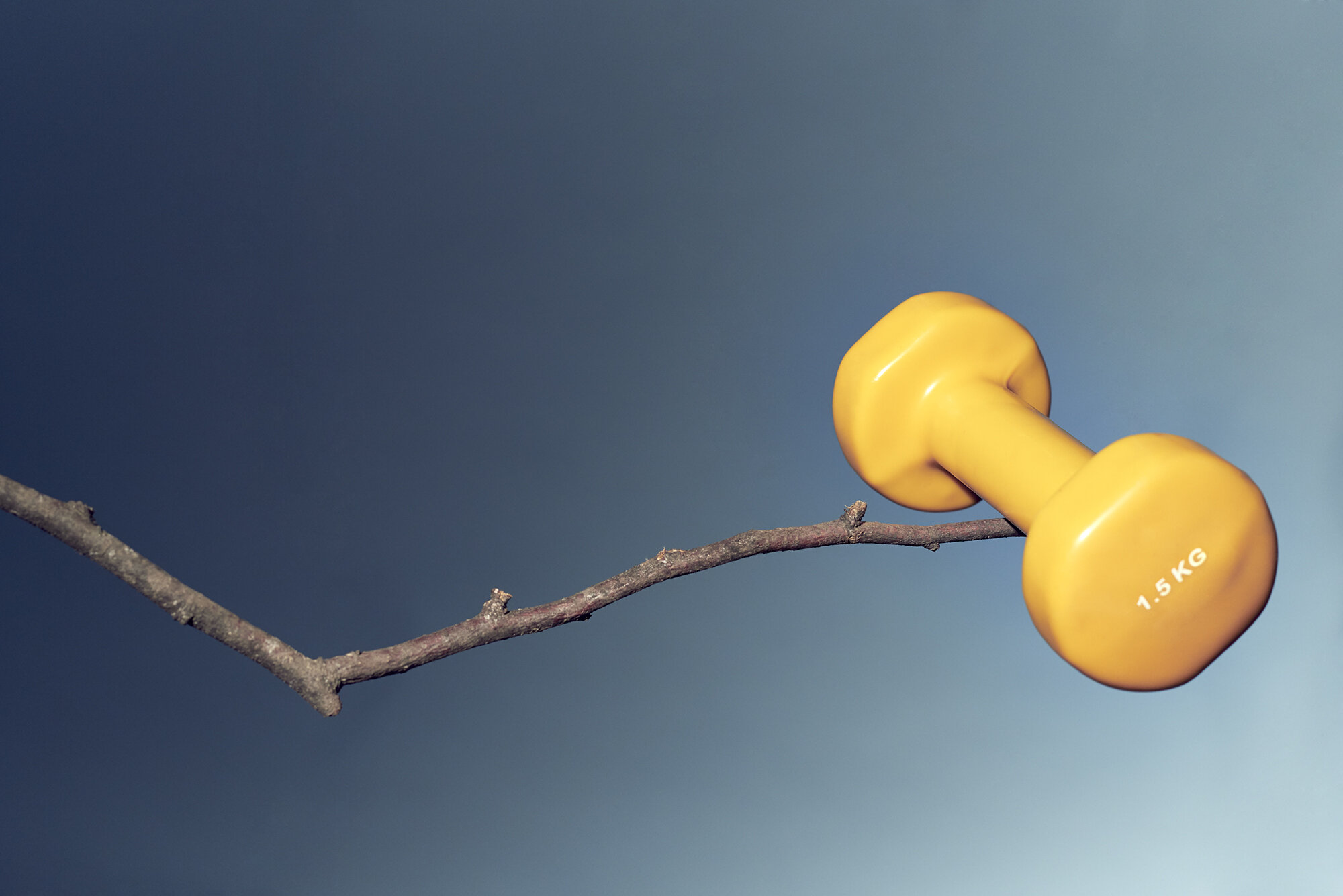 January Dumbbell.jpg