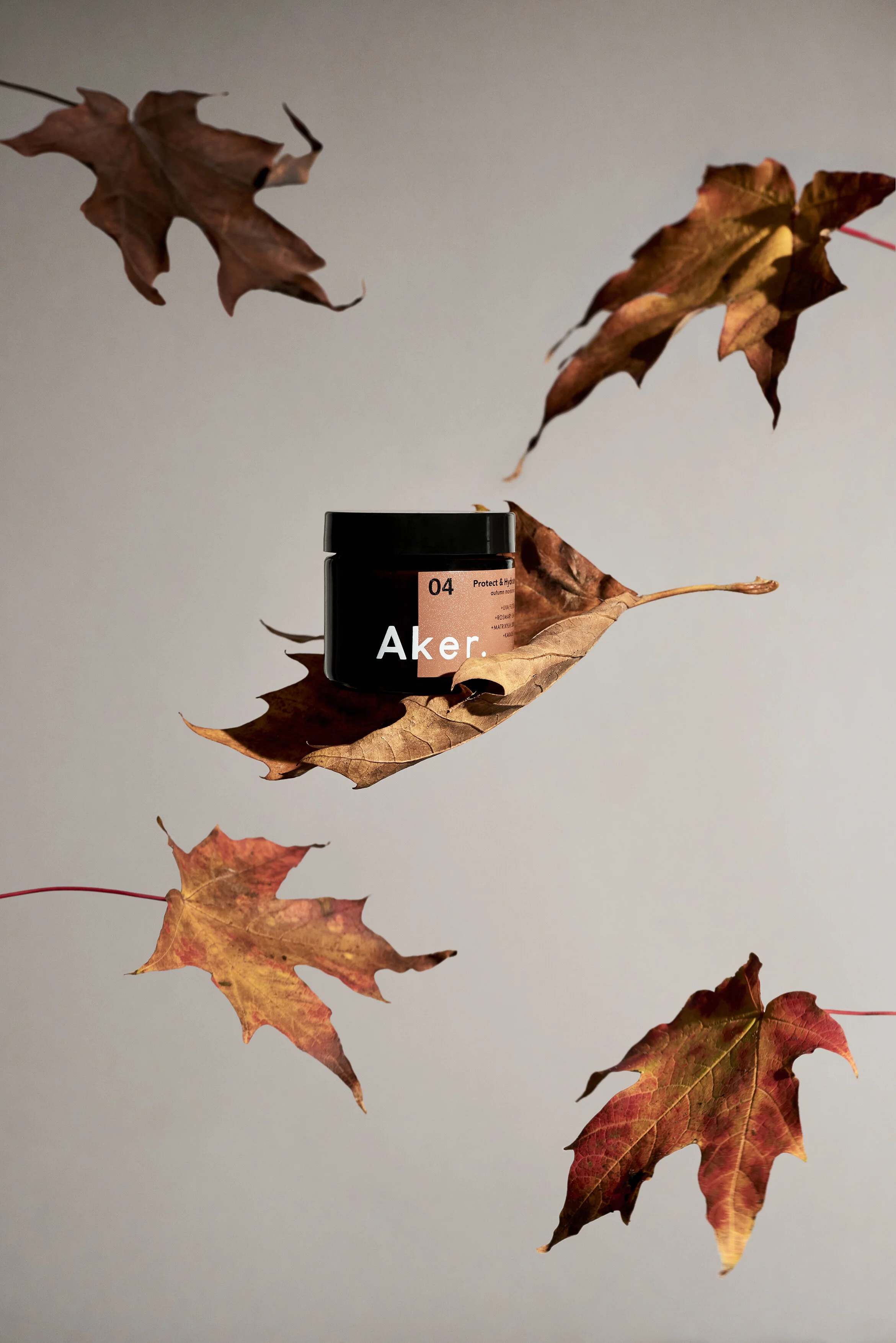 Aker Autumn_Leaf Drop.jpg