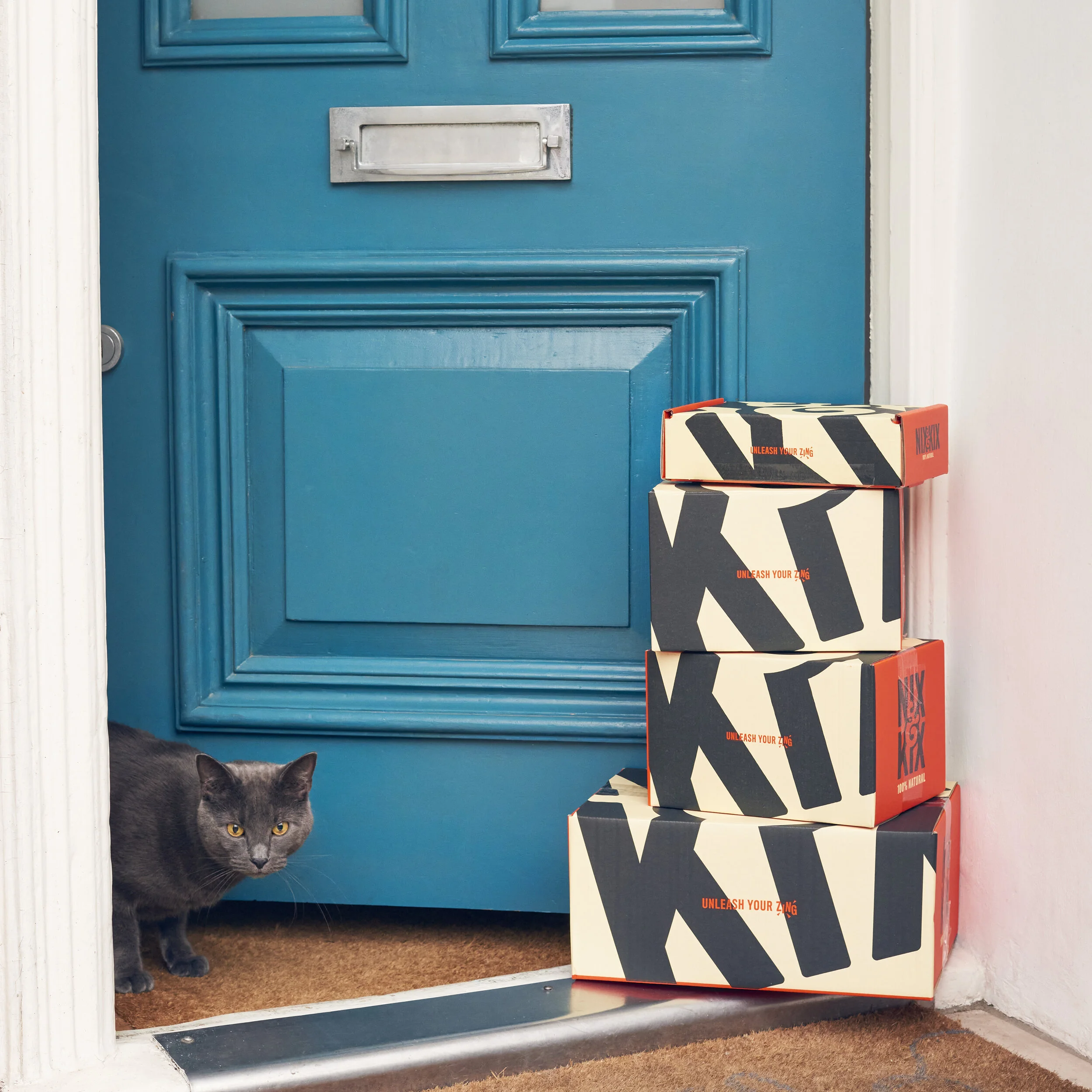 Nix & Kix_Doorstep Stack With Cat 2.jpg