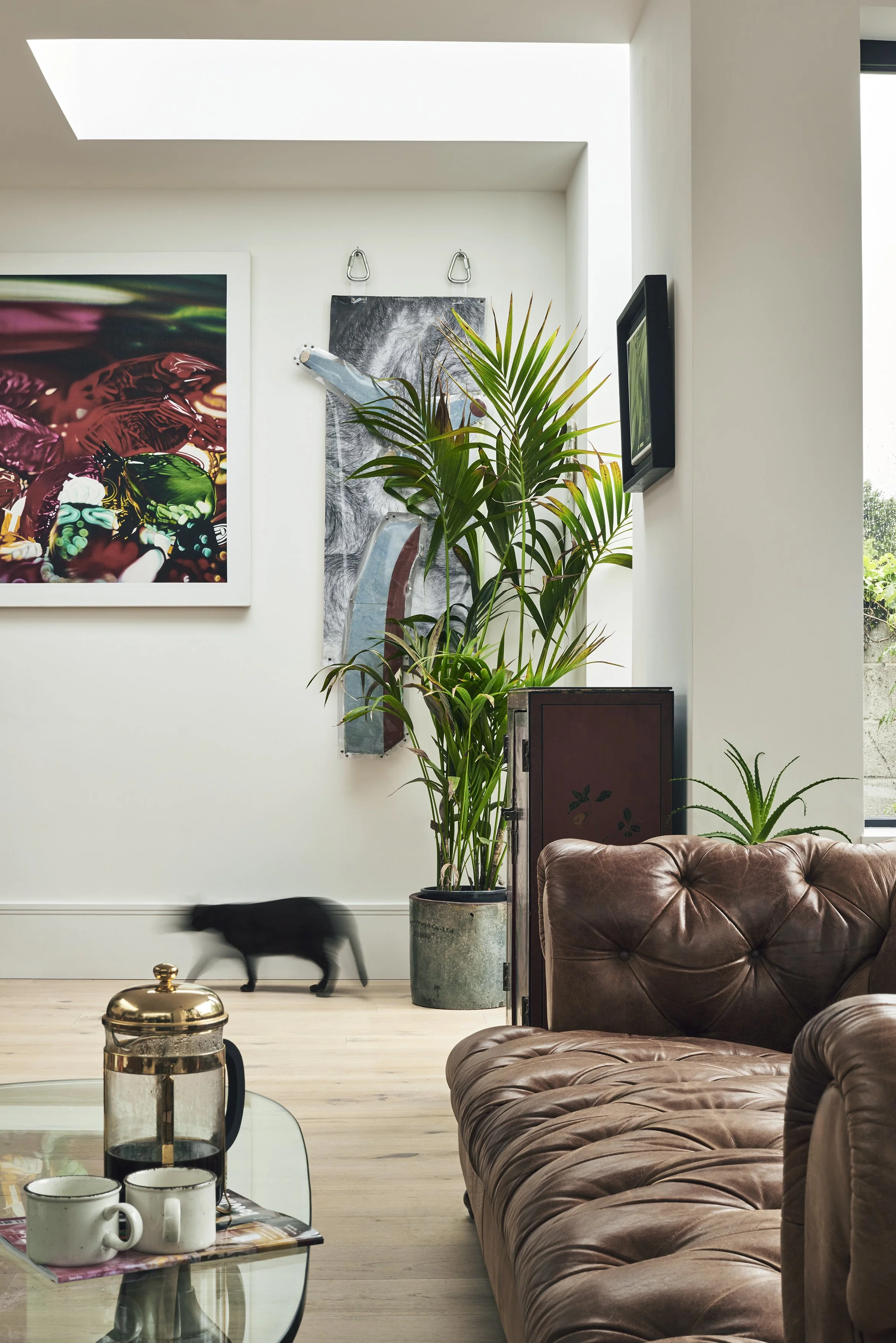 L Window Moving Cat.jpg