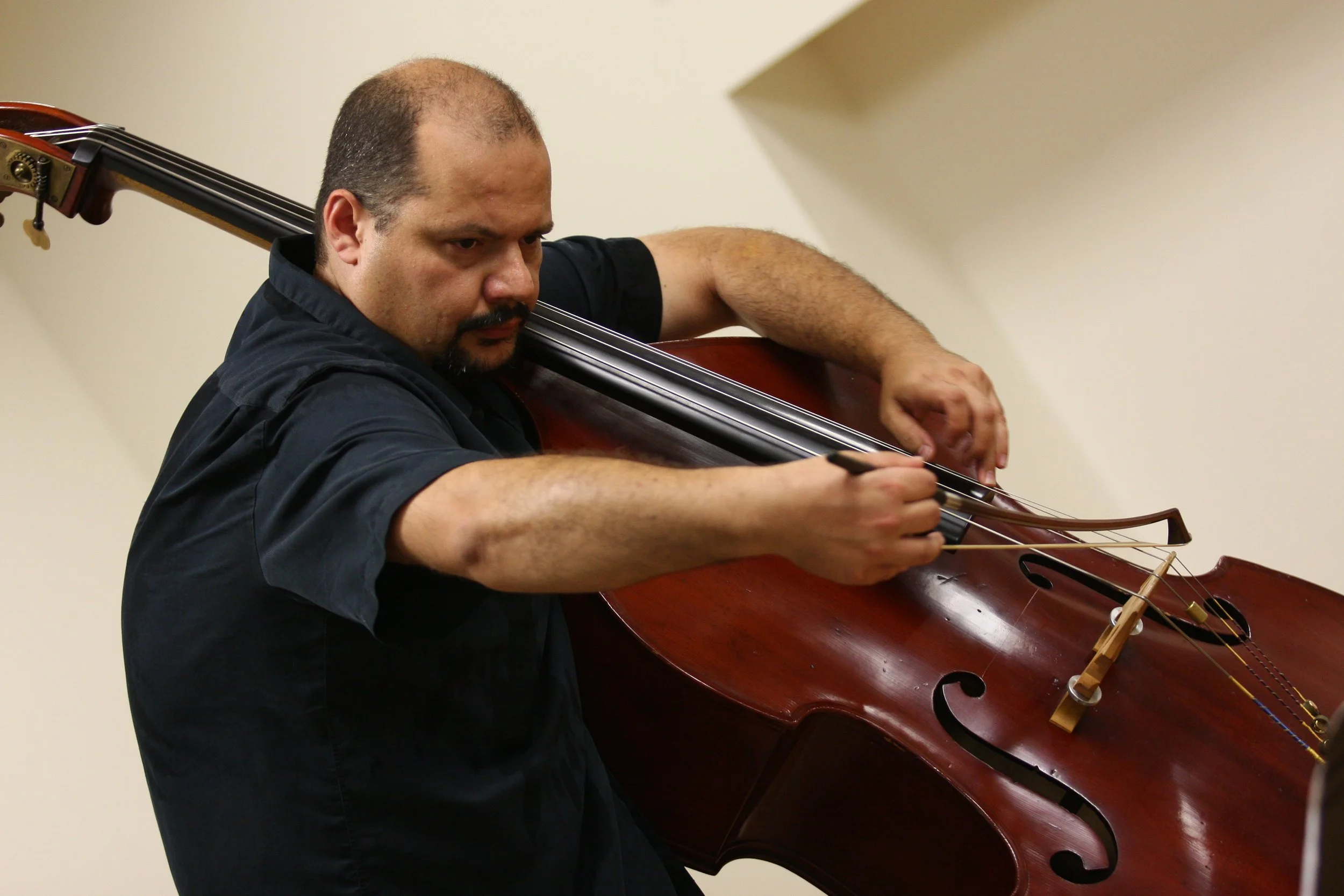 Volkan Orhon, bass