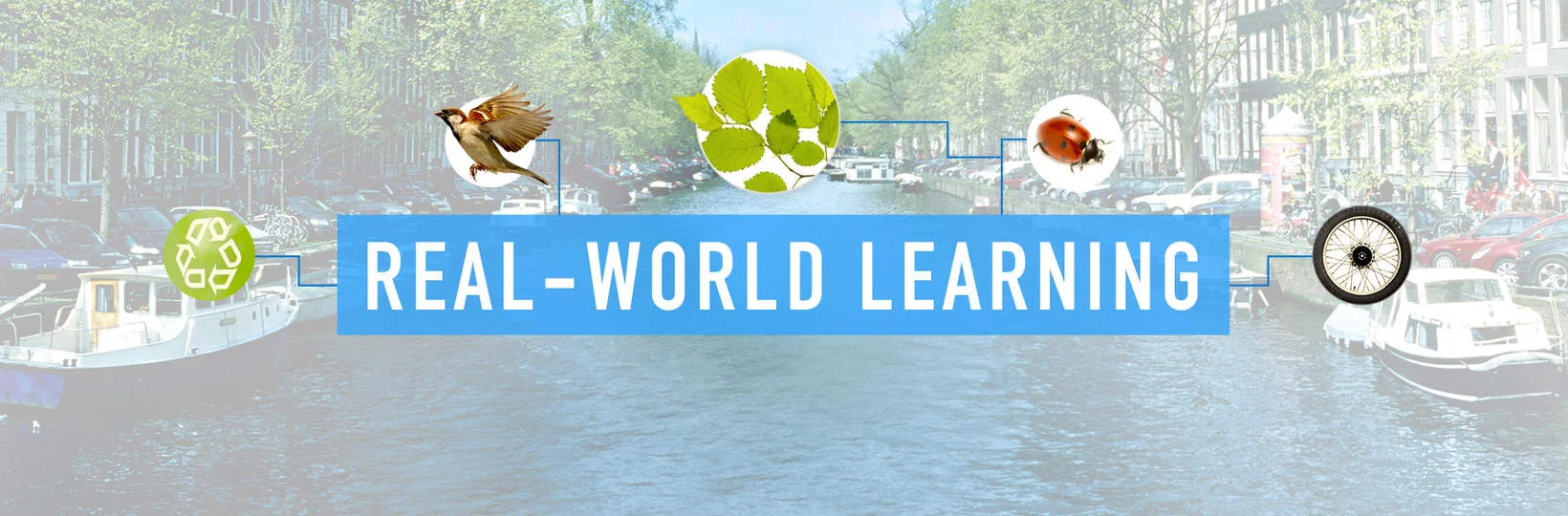 Educational Campaigns.jpeg