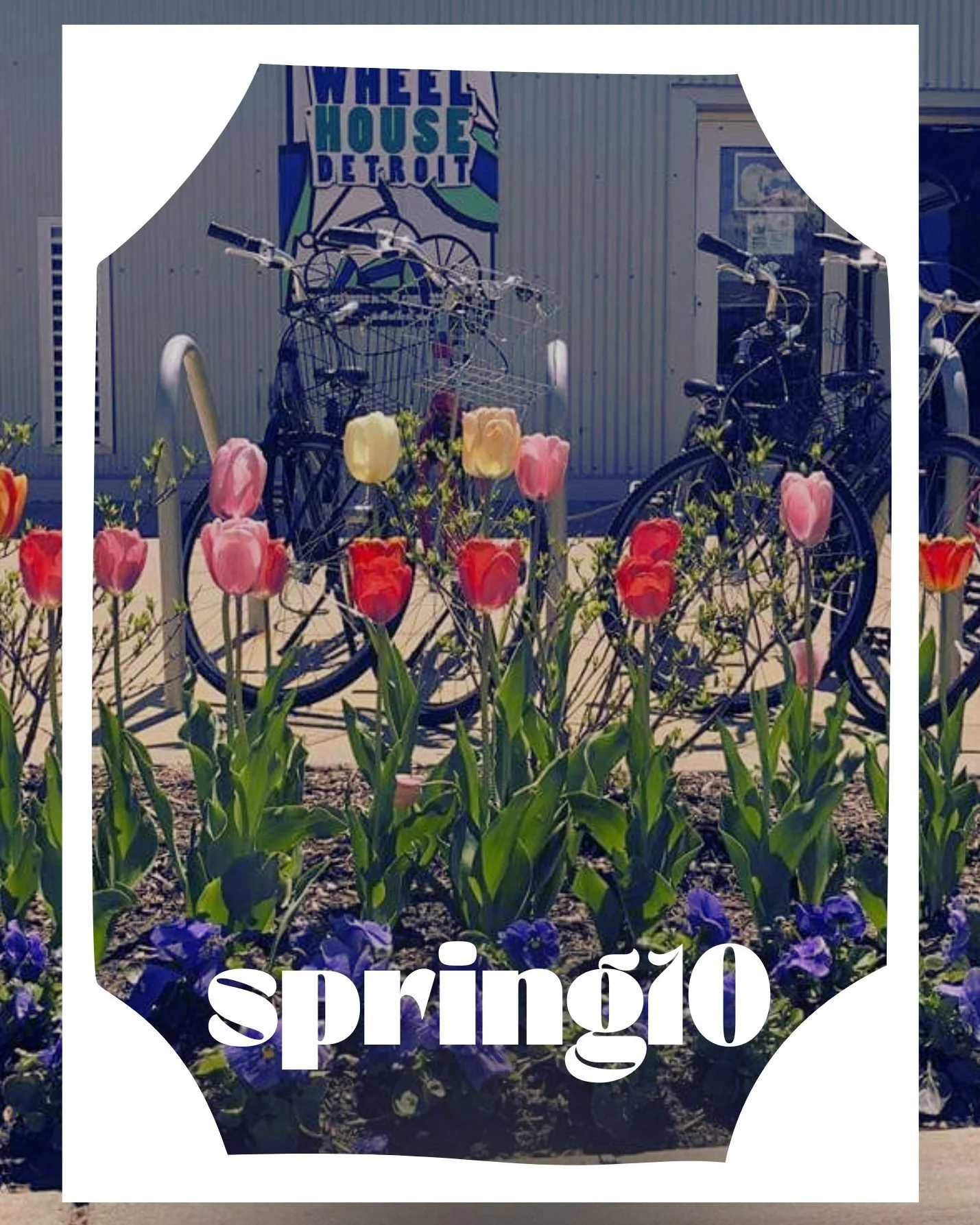Last chance to use SPRING10 Promo Code and save 10 bucks on a tour: 5/15 Belle Isle and 5/16 Corktown. Just 4 spots on each remain open. Weather looks fantastic this weekend finally! #bikedetroit #wheelhousetours #belleisle #corktowndetroit