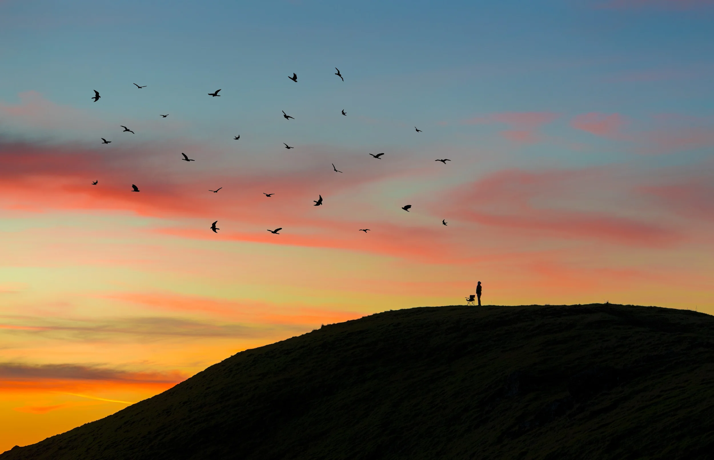 sunset.jpg
