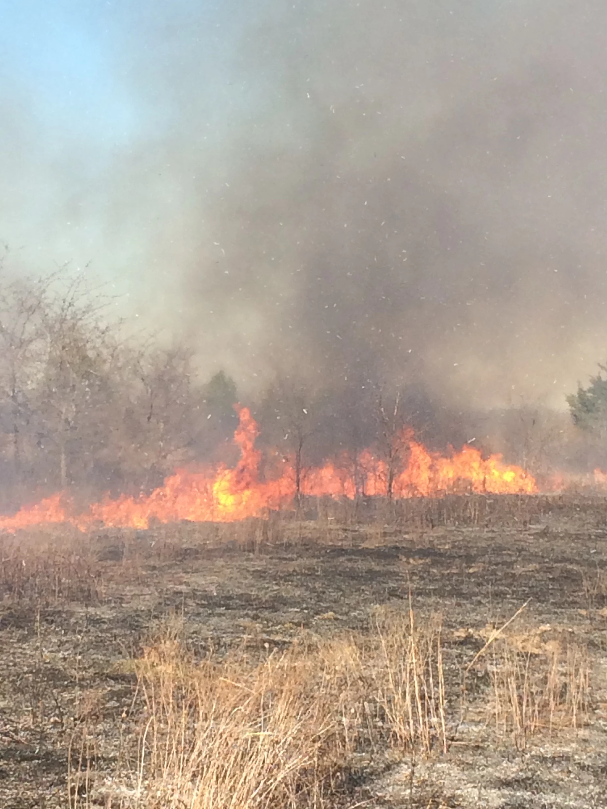 NWTF Prescribed Fire Position - more supporting material