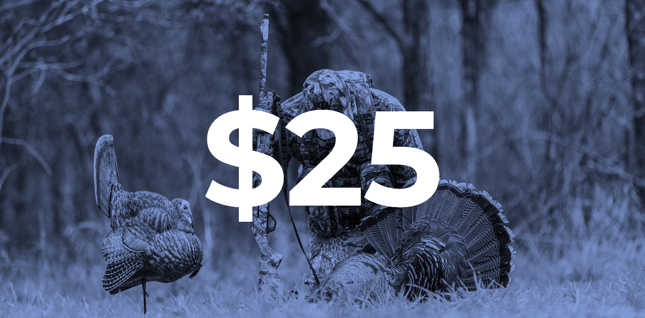 Big Bird Contest Bonus Registration Fee