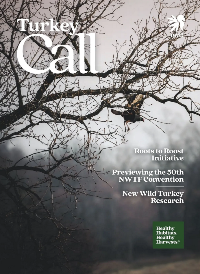 Read the latest issue!