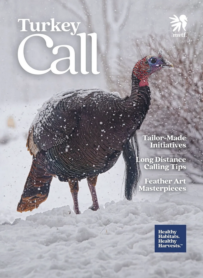 Read the latest issue!