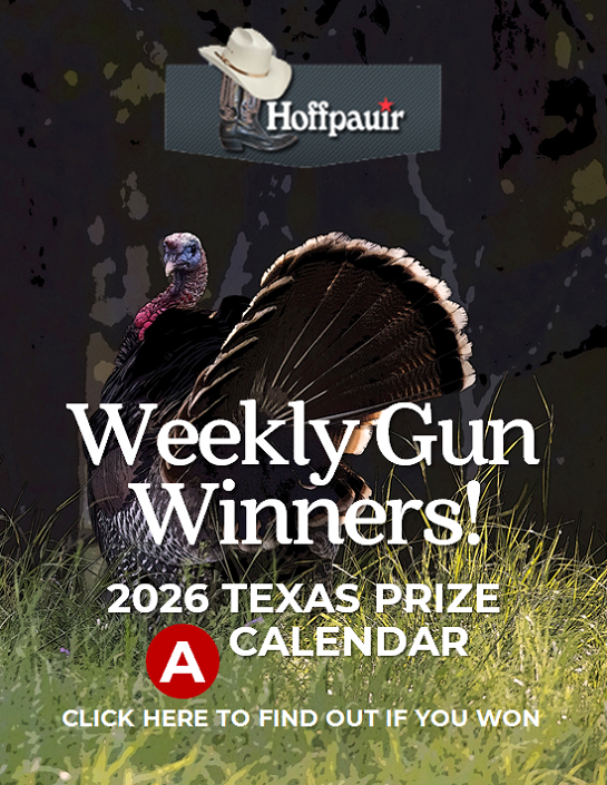 Did you win this week?