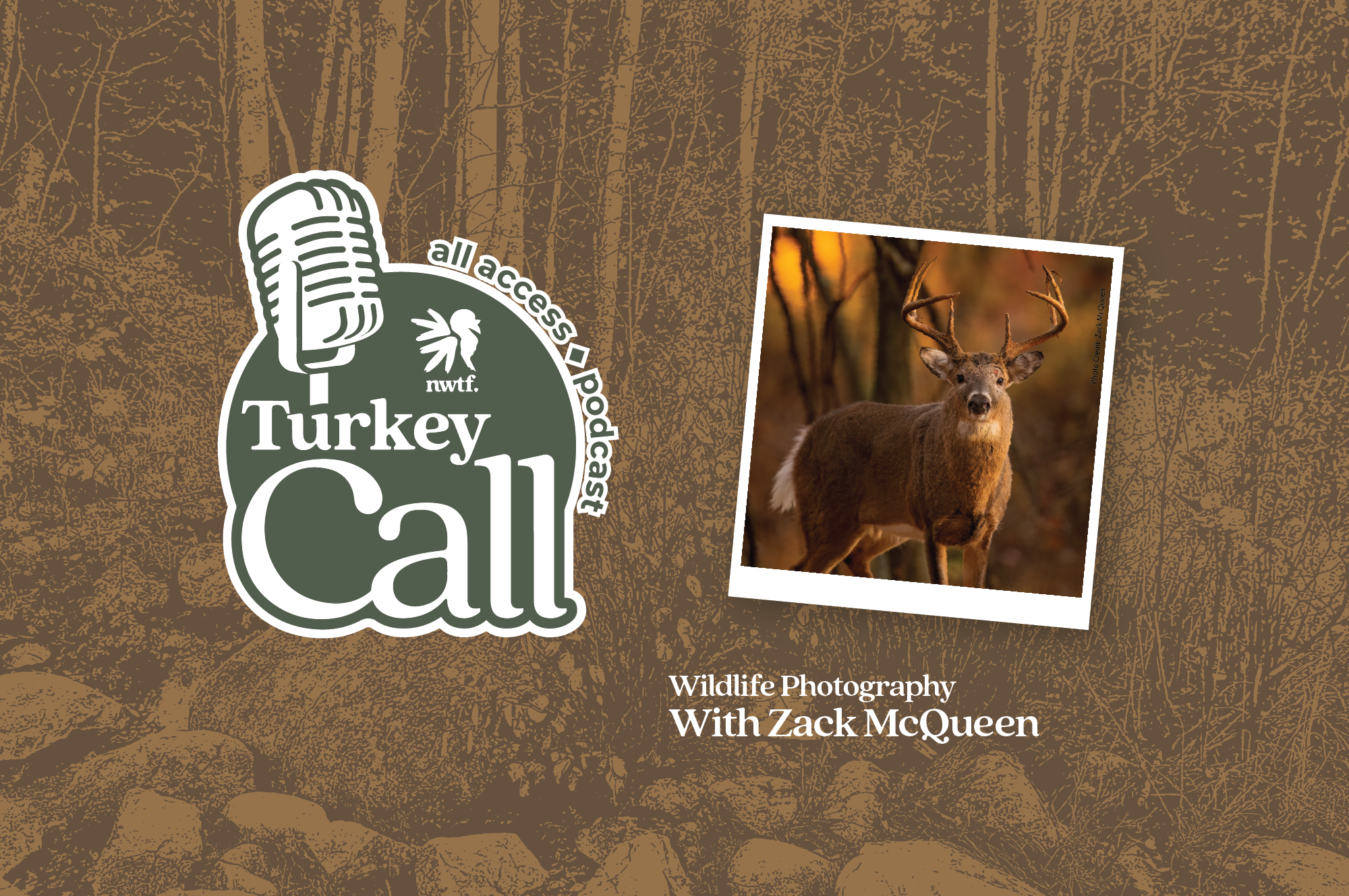 National Wild Turkey Federation Turkey Call All Access episode with photographer  Zack McQueen