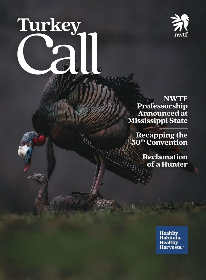 Read the latest issue here!