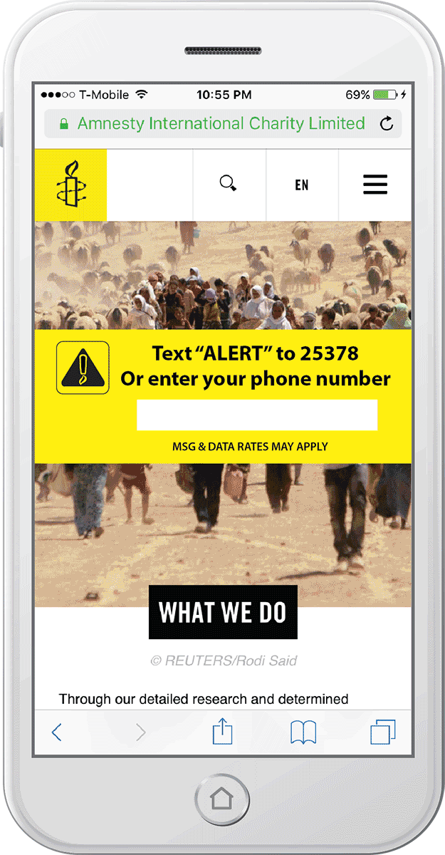 Amnesty Alert Service