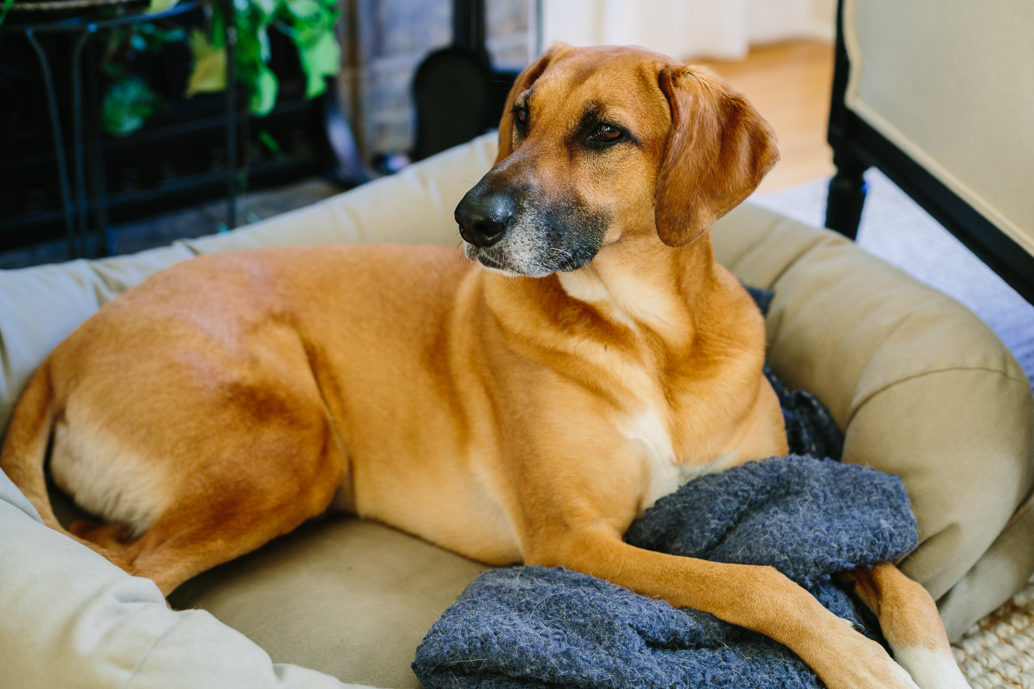 CB(Blog)-8092.jpg