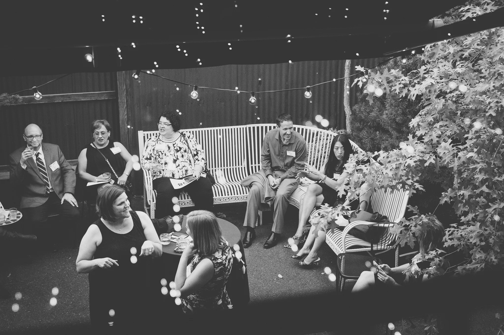 StellaStepsOut2015(High)-4619copy.jpg