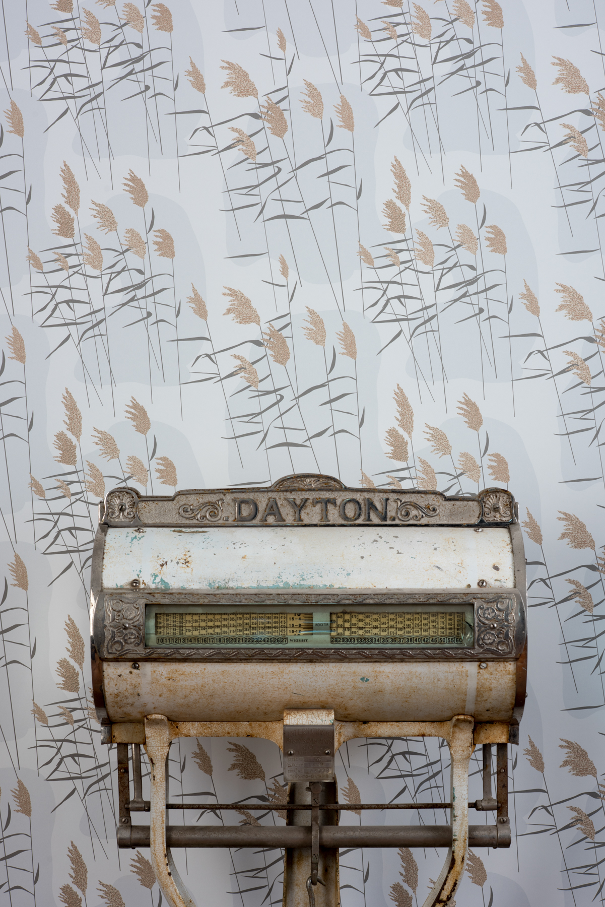 Kate Golding Grasses (Dawn) wallpaper // Modern wallcoverings and interior decor.