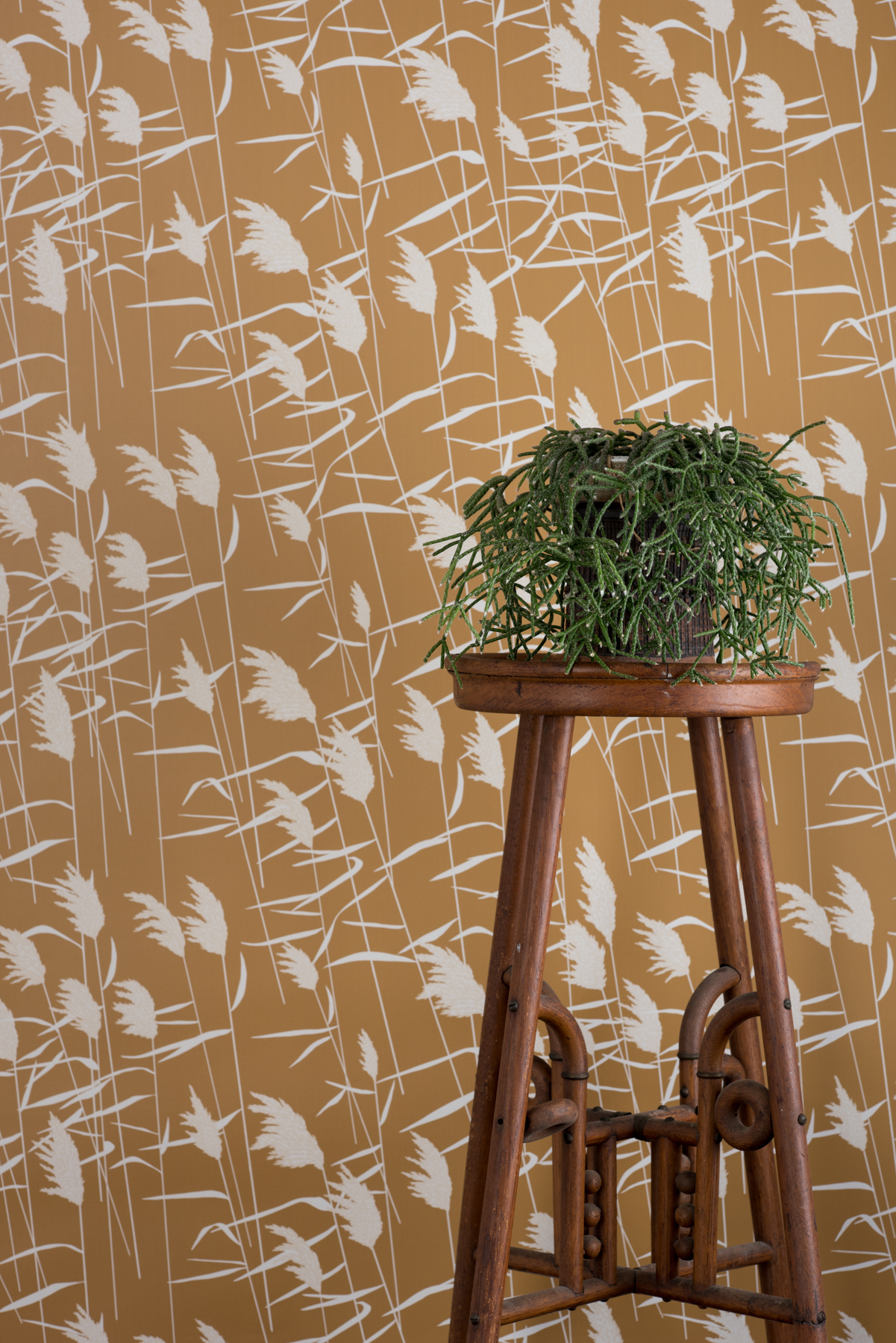 Kate Golding Grasses (Dusk) wallpaper // Modern wallcoverings and interior decor.