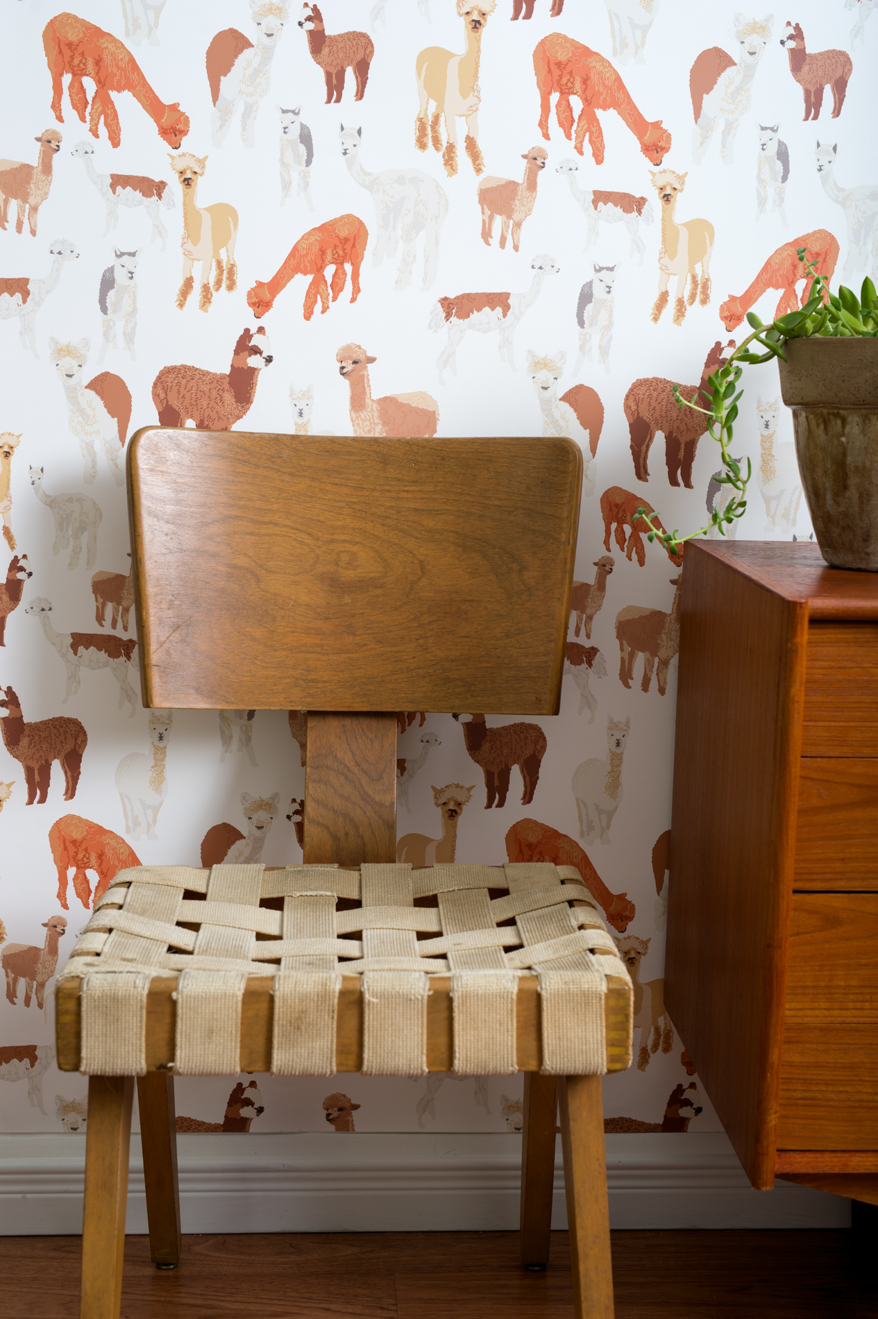 Kate Golding Alpaca wallpaper // Modern wallcoverings and interior decor.