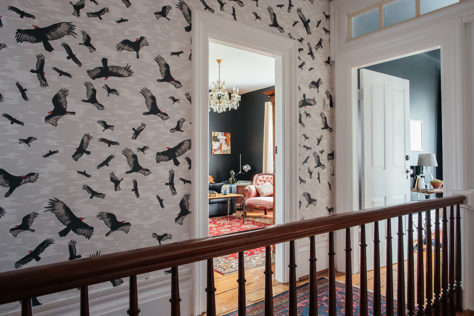 Kate Golding Turkey Vulture wallpaper // Modern wallcoverings and interior decor.