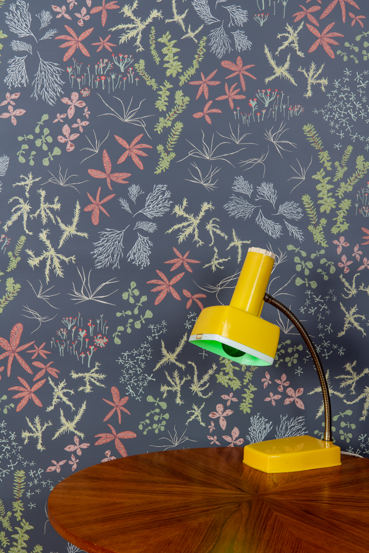 Kate Golding Bog (Charcoal) wallpaper // Modern wallcoverings and interior decor.