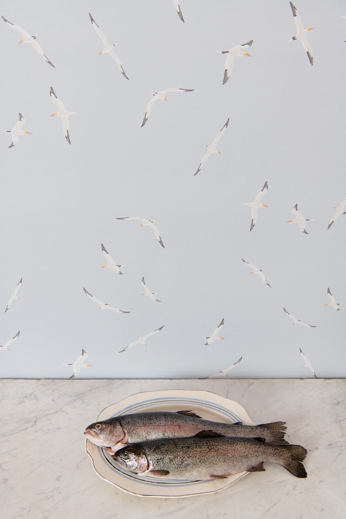 Kate Golding Gannets wallpaper // Modern wallcoverings and interior decor.