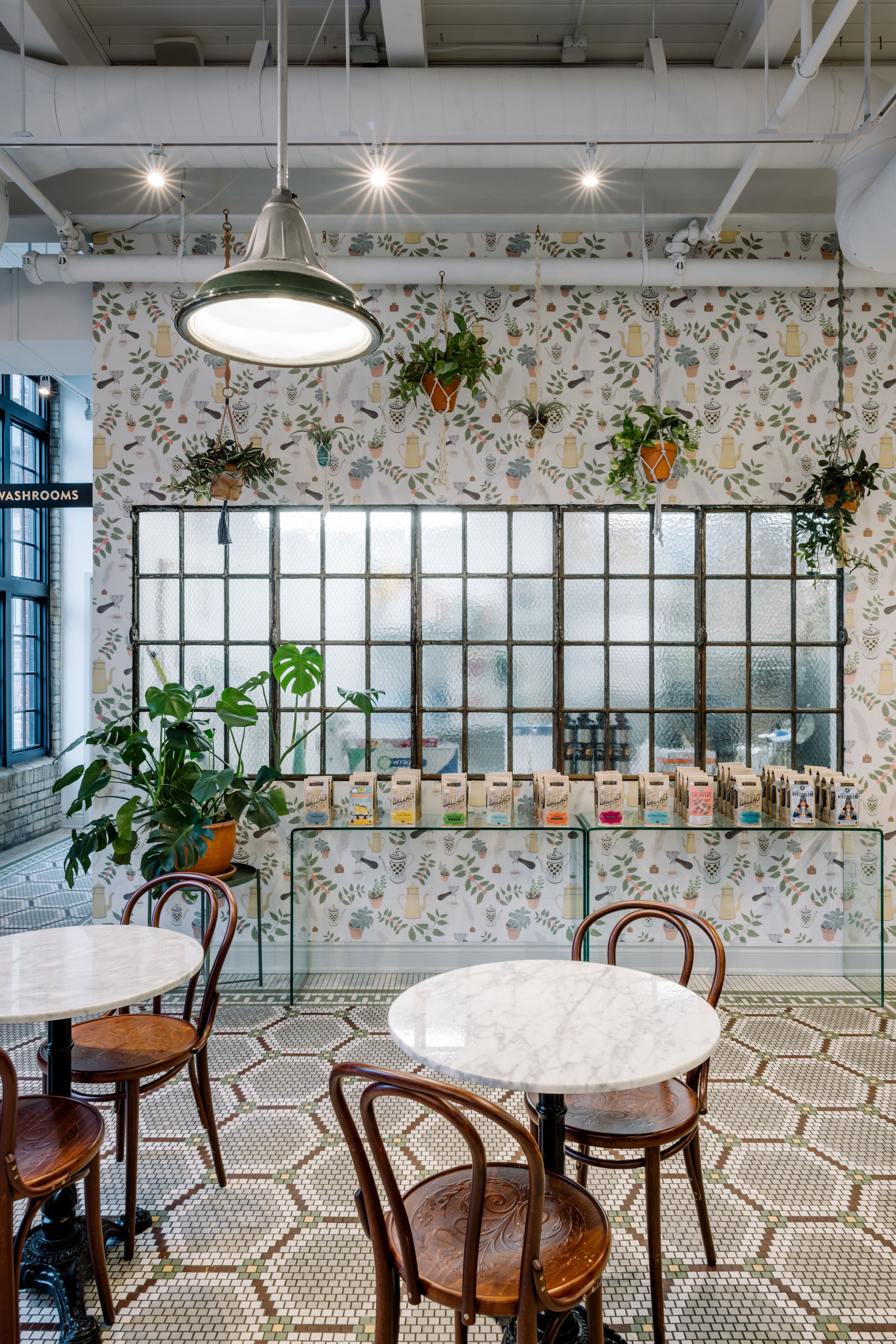 Kate Golding wallpaper for Balzac's Coffee Roasters