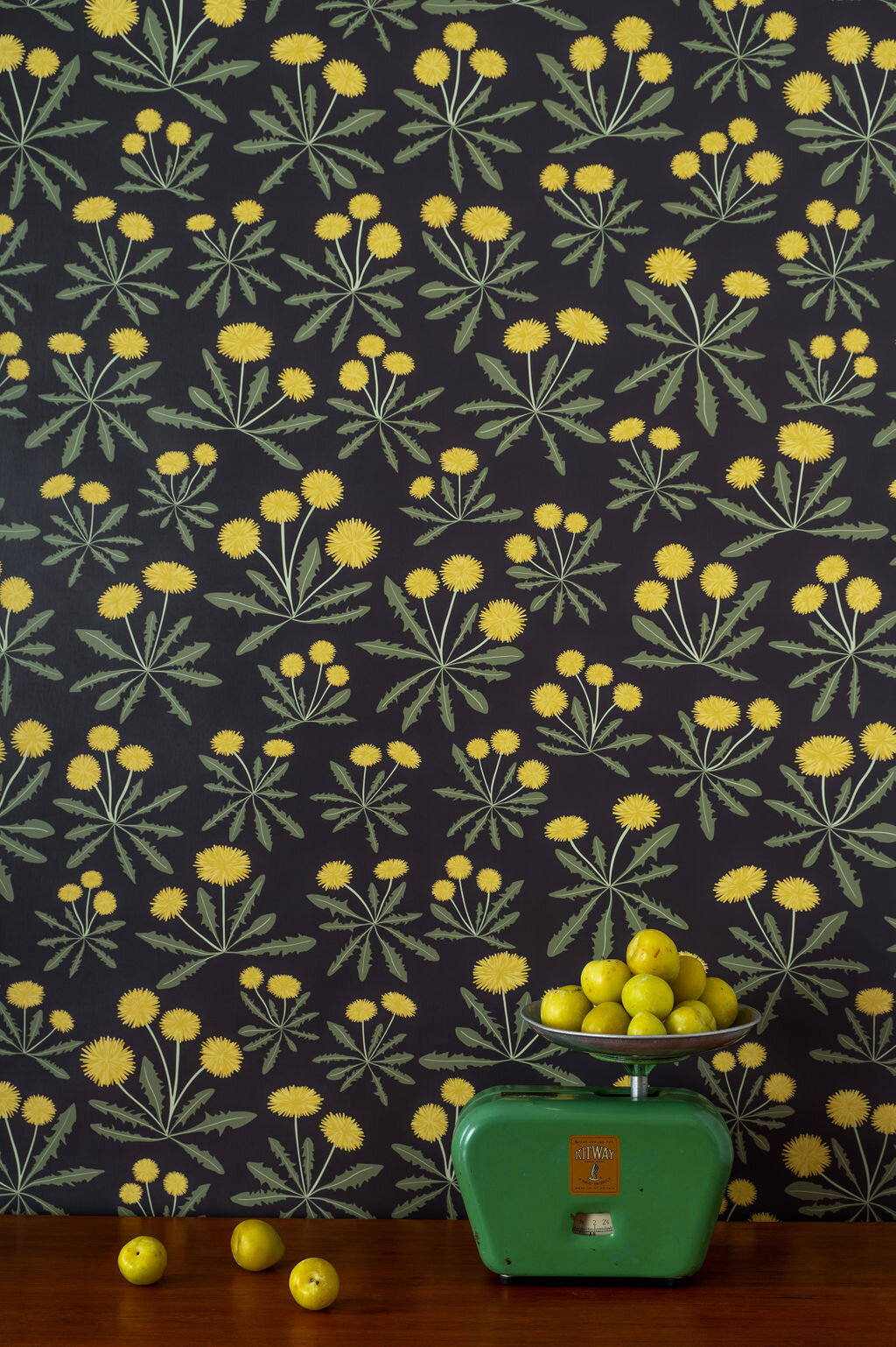 Kate Golding Dandelion (Charcoal) wallpaper // Modern wallcoverings and interior decor.