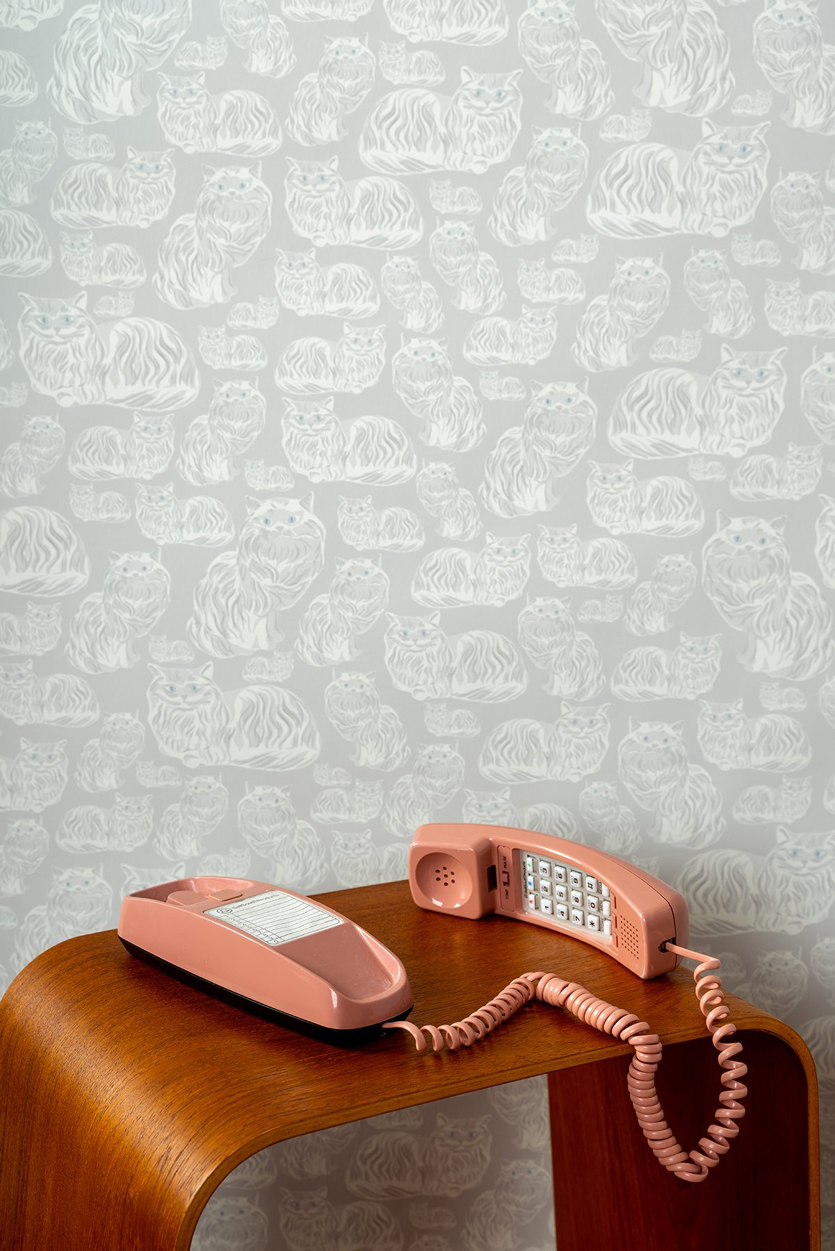 Kate Golding Porcelain Cats wallpaper // Modern wallcoverings and interior decor.