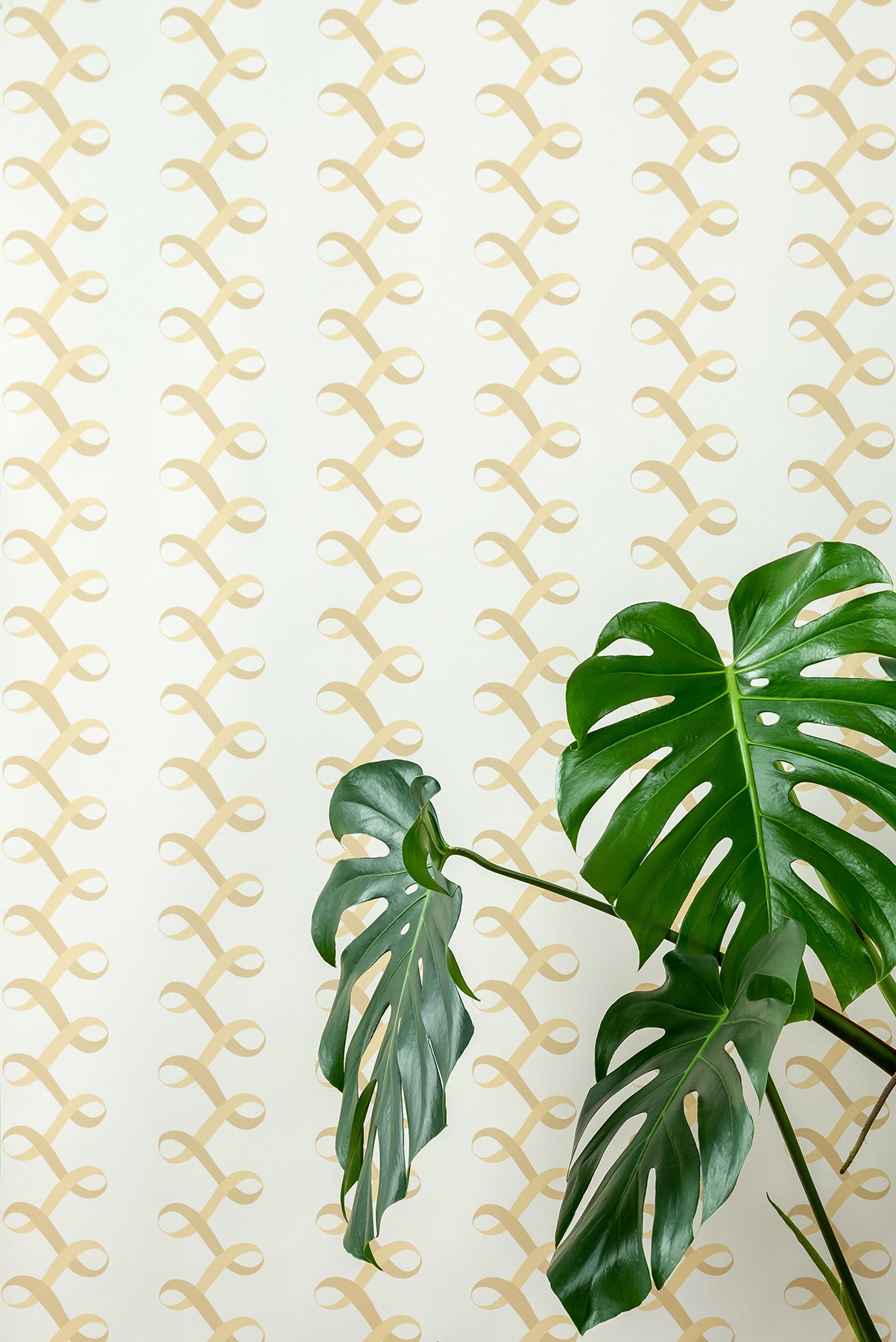 Kate Golding Ribbons Gold wallpaper // Modern wallcoverings and interior decor.