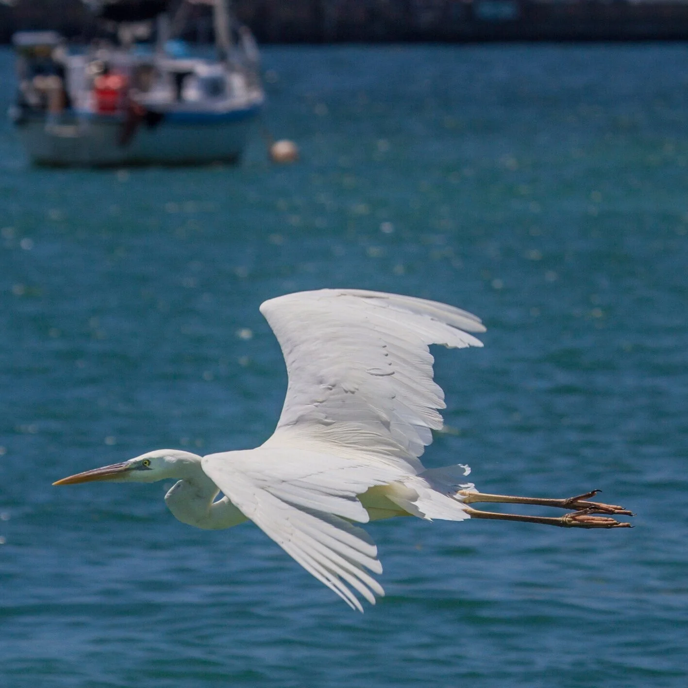 Monthy Speaker Series