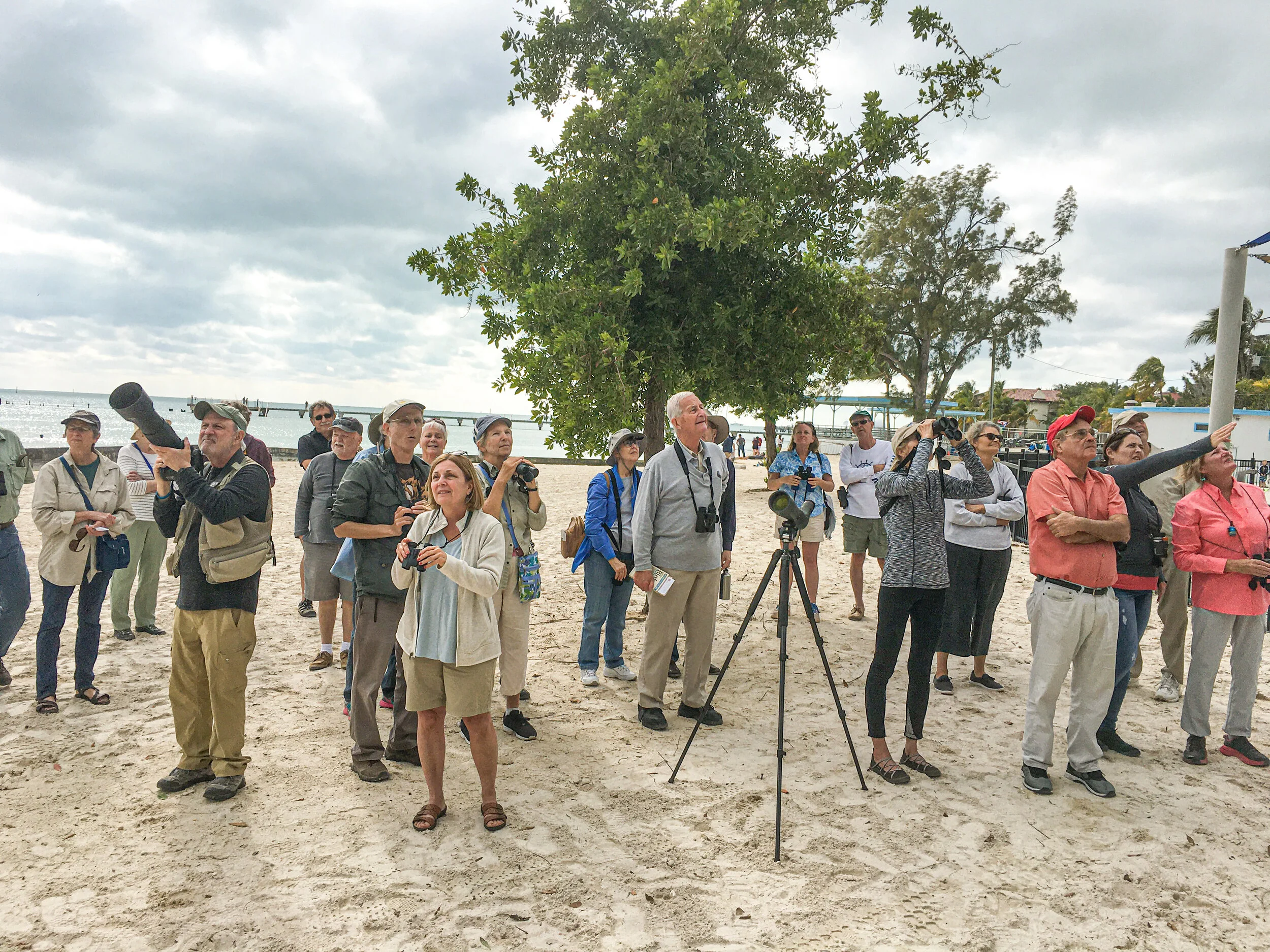 Annual Local Membership