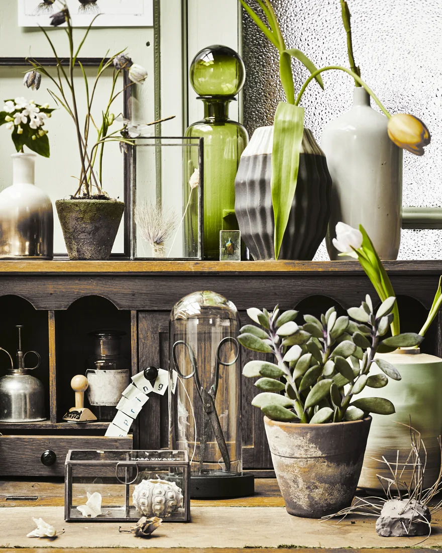 birds bloom©jeroenvanderspek Styling ANKEserie of 2 (1).jpg