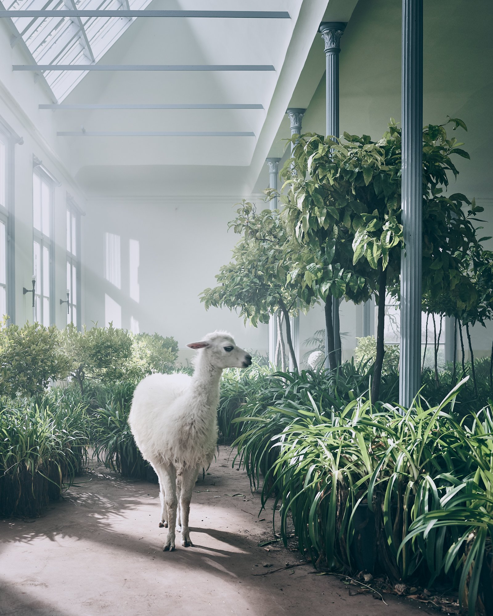 VOQUE GREENHOUSE HR_©jeroenvanderspek.com styling_Cleo scheulderman 105.jpg