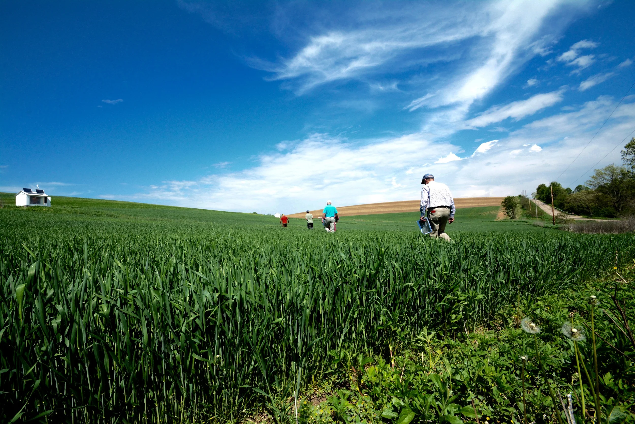 Sand County Foundation staff head out to edge-of-field water quality monitoring stations in a field to which gypsum has been applied, in the West Branch subwatershed of the Milwaukee River near Campbellsport, WI.