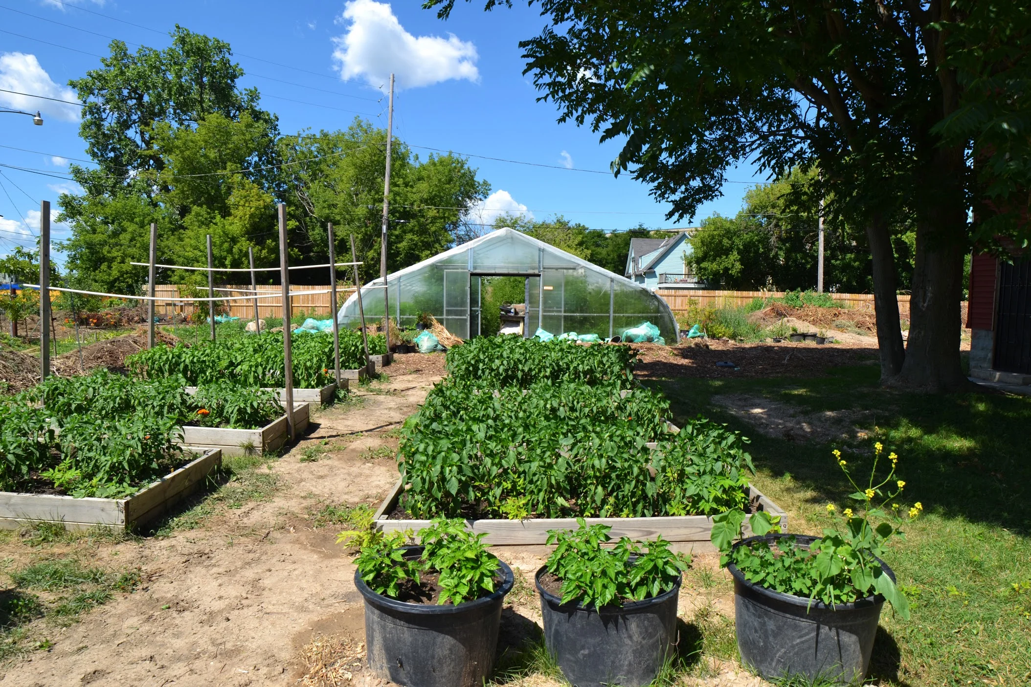 hoophouse.jpg